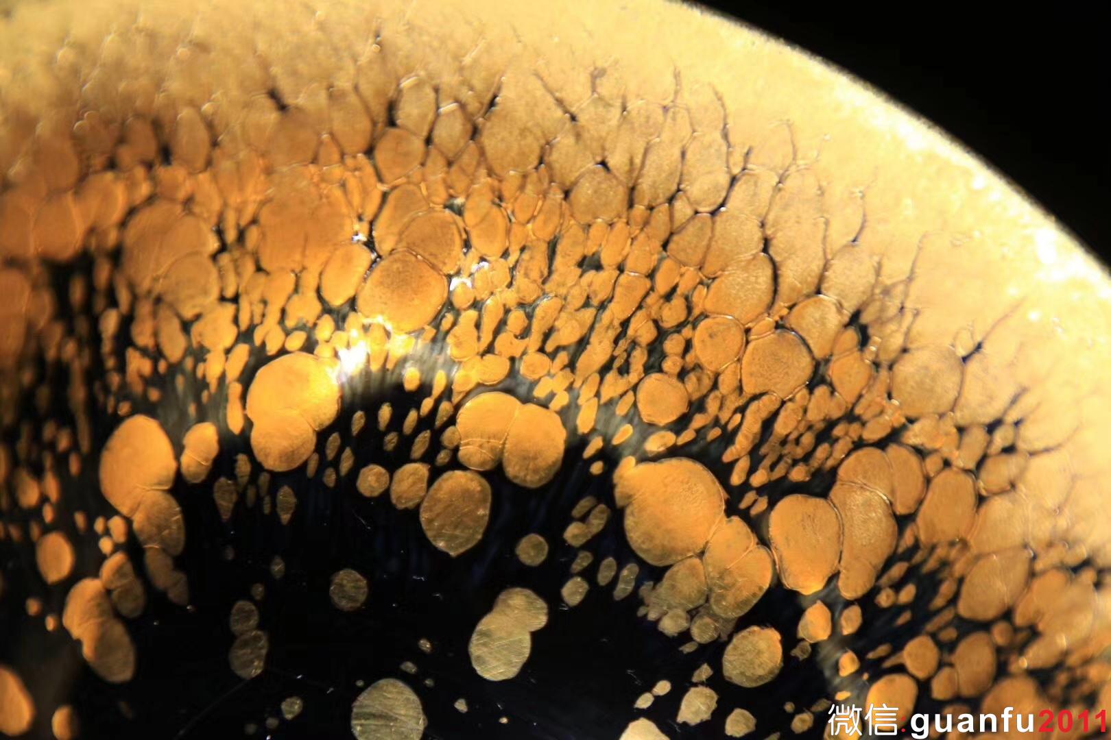 mmexport1533101999620