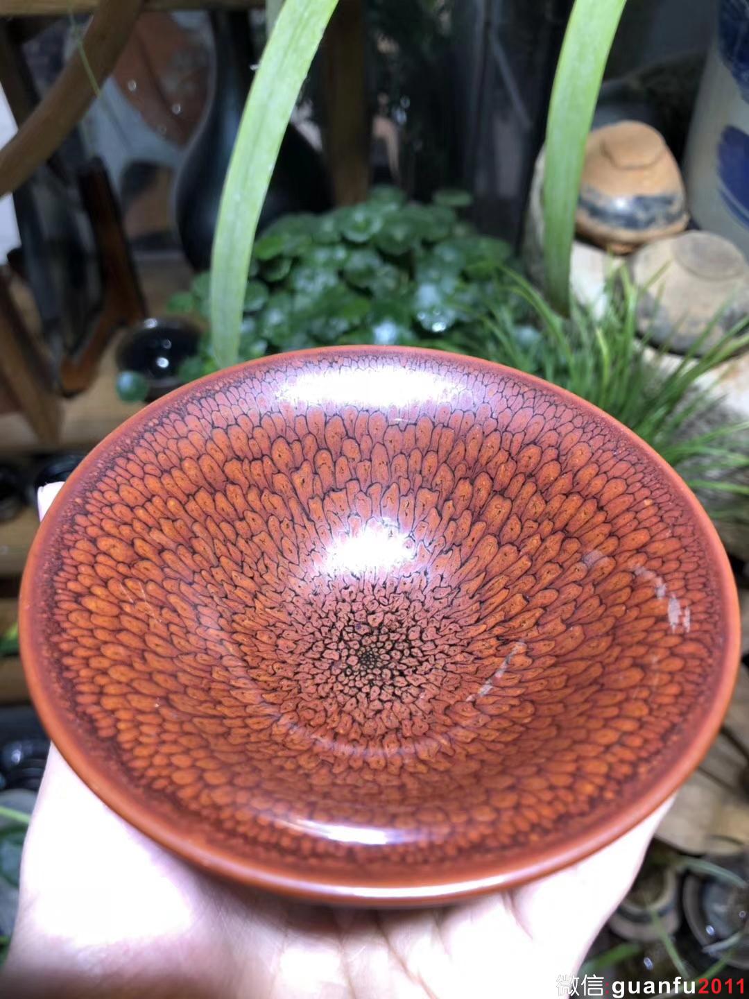 mmexport1533102388880