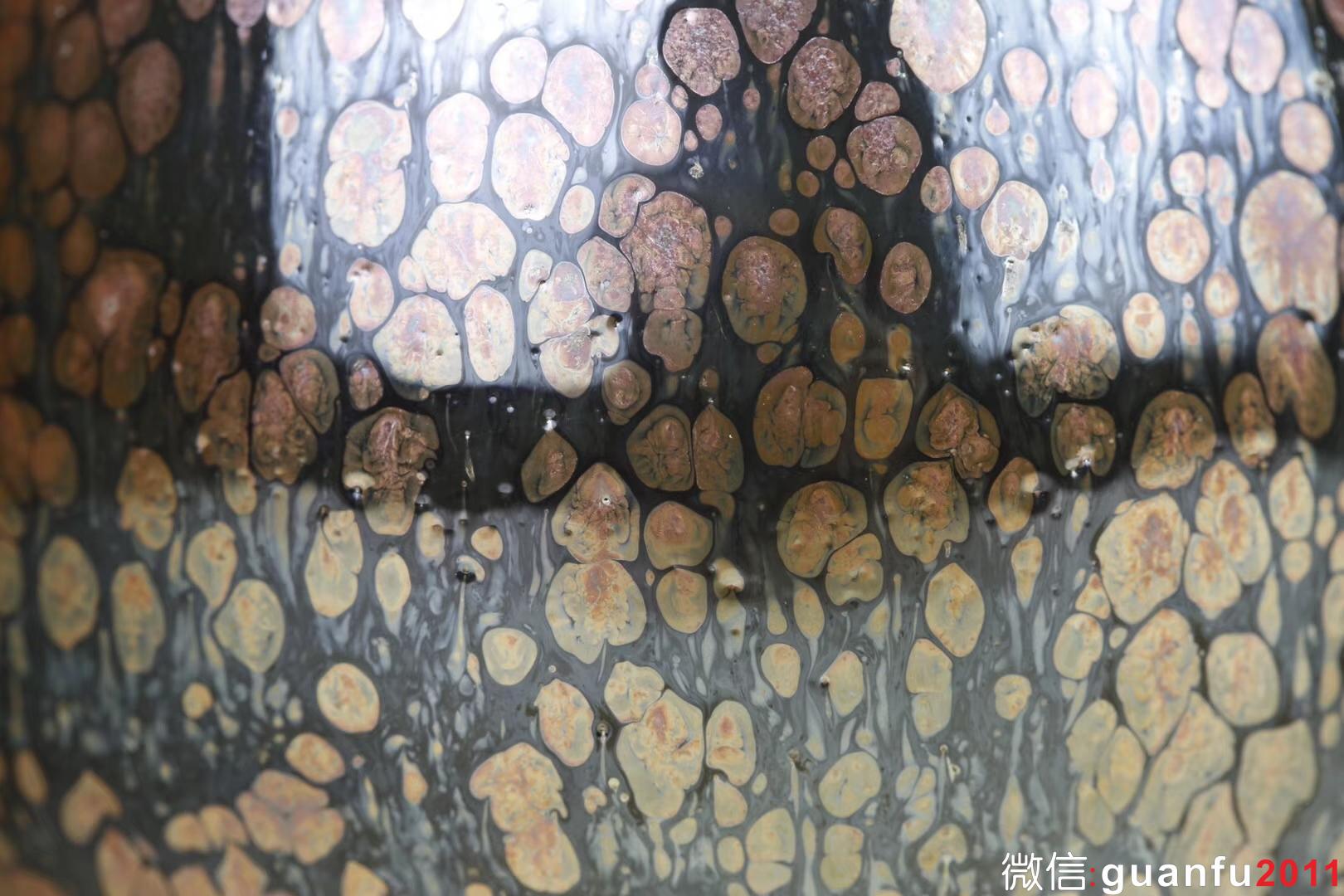 mmexport1533194260051