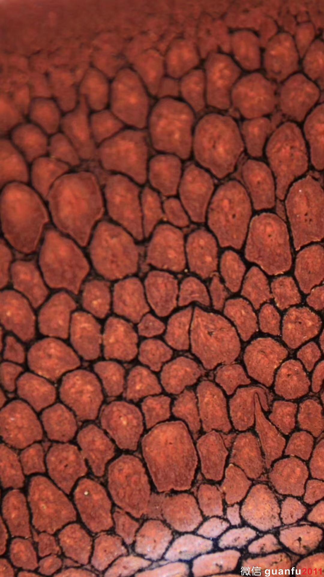 mmexport1533261767646