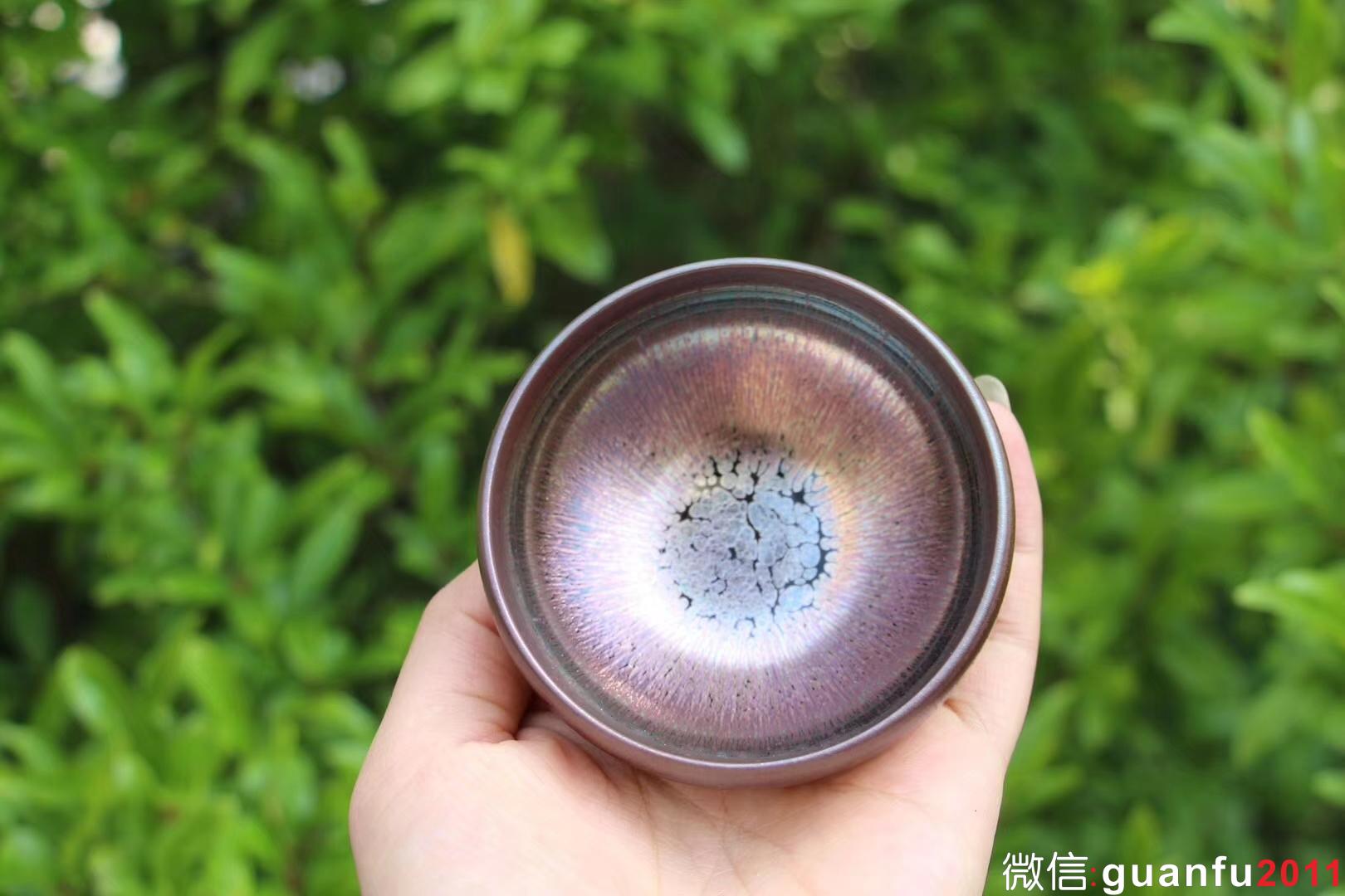 mmexport1533272476035