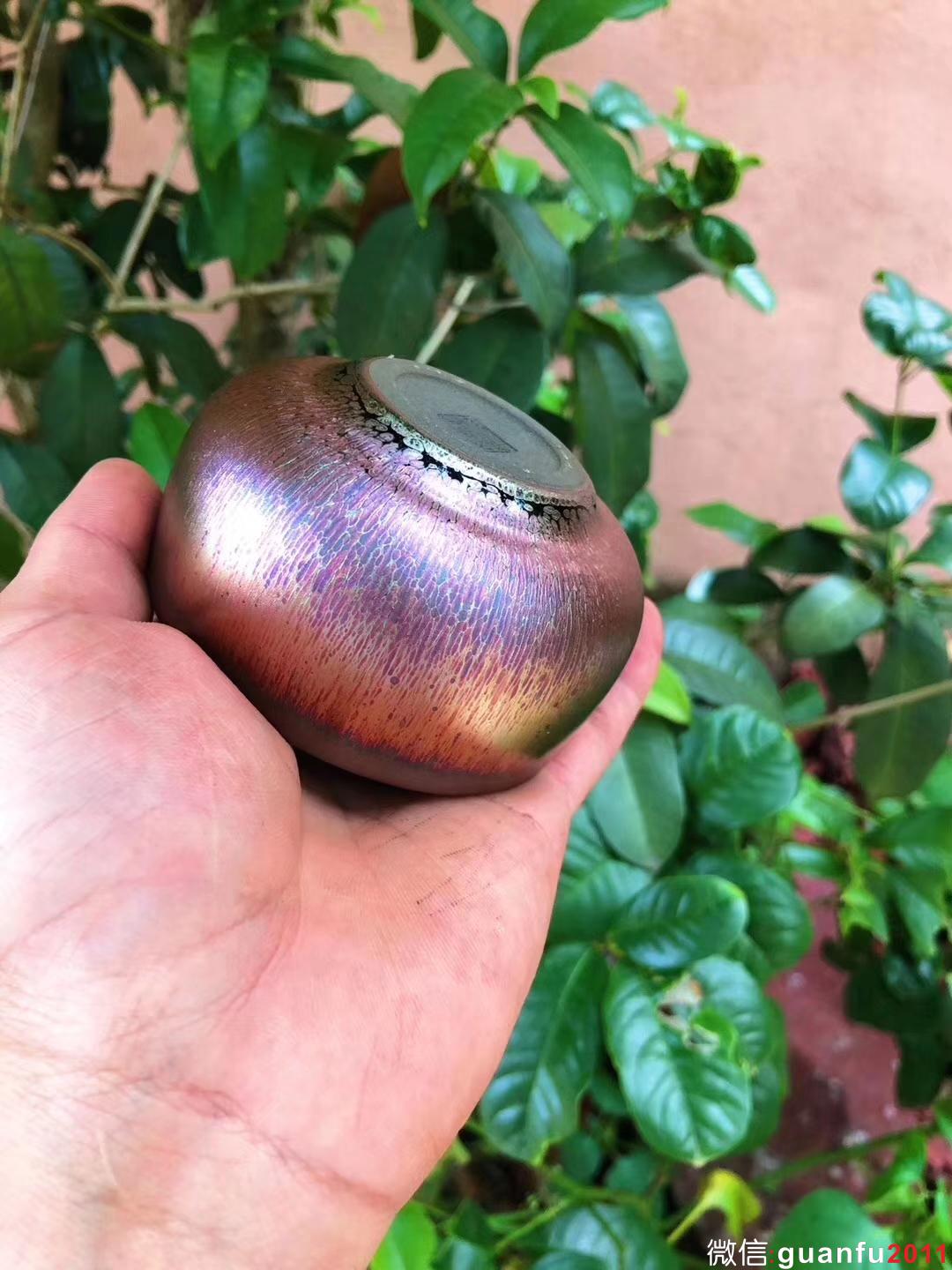 mmexport1533276436437