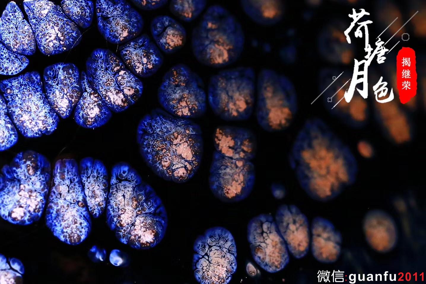 揭繼榮【荷塘月色】斗笠