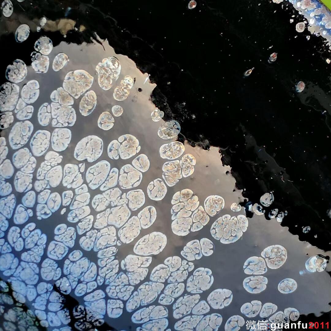 mmexport1533521028076