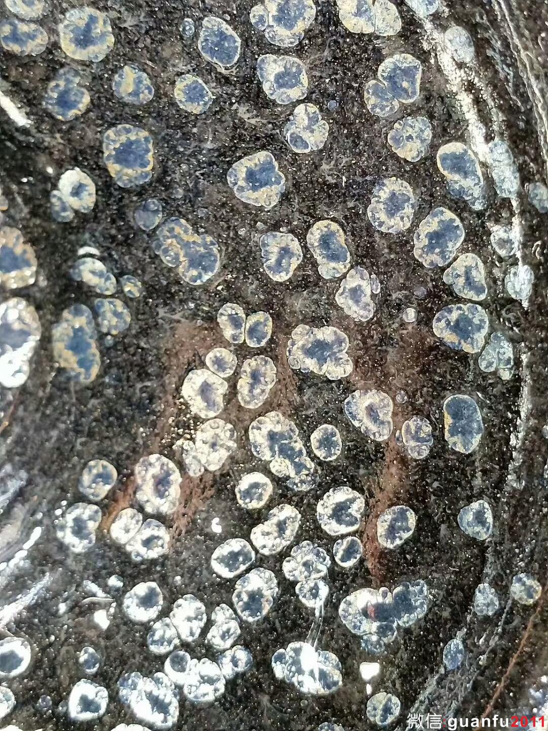 mmexport1533535009791