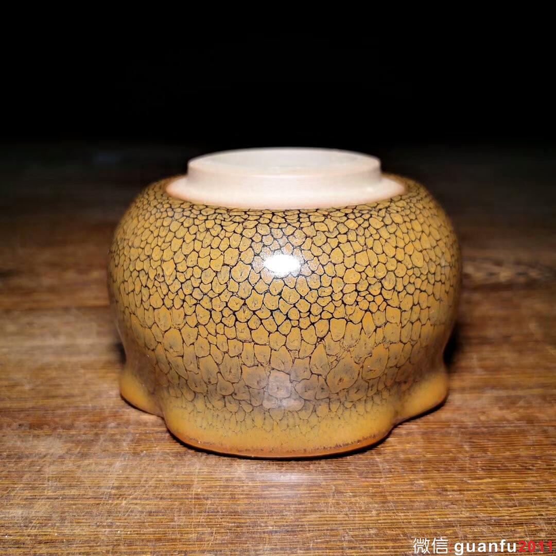 mmexport1533778534564