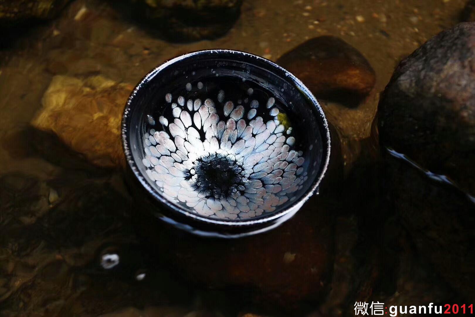 mmexport1533888146722