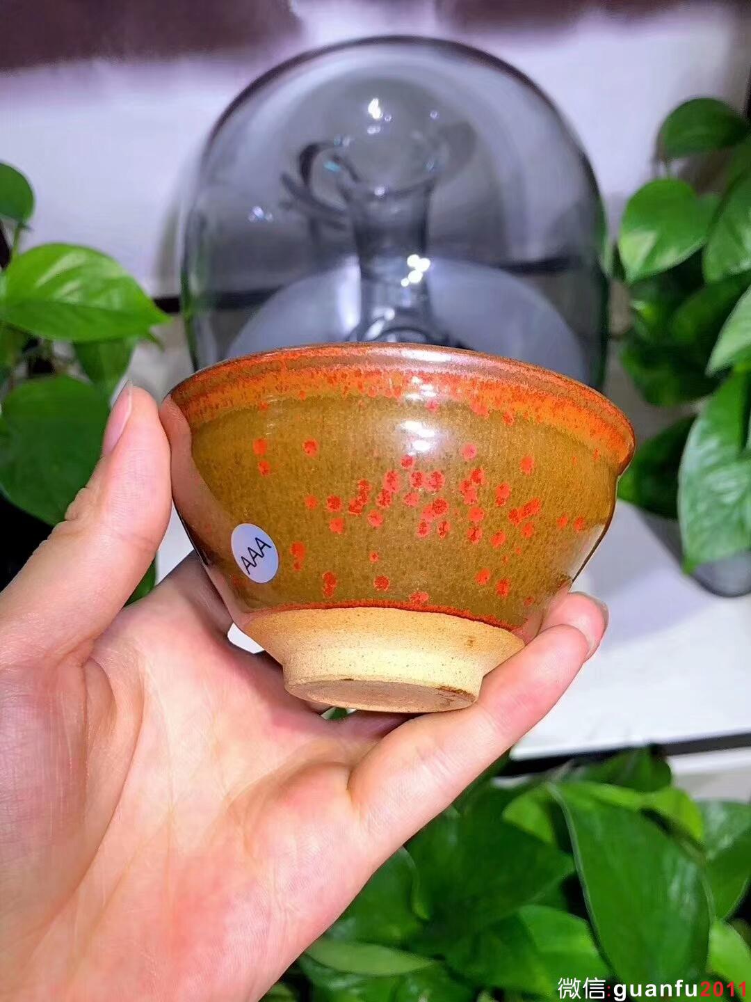 mmexport1533951839869