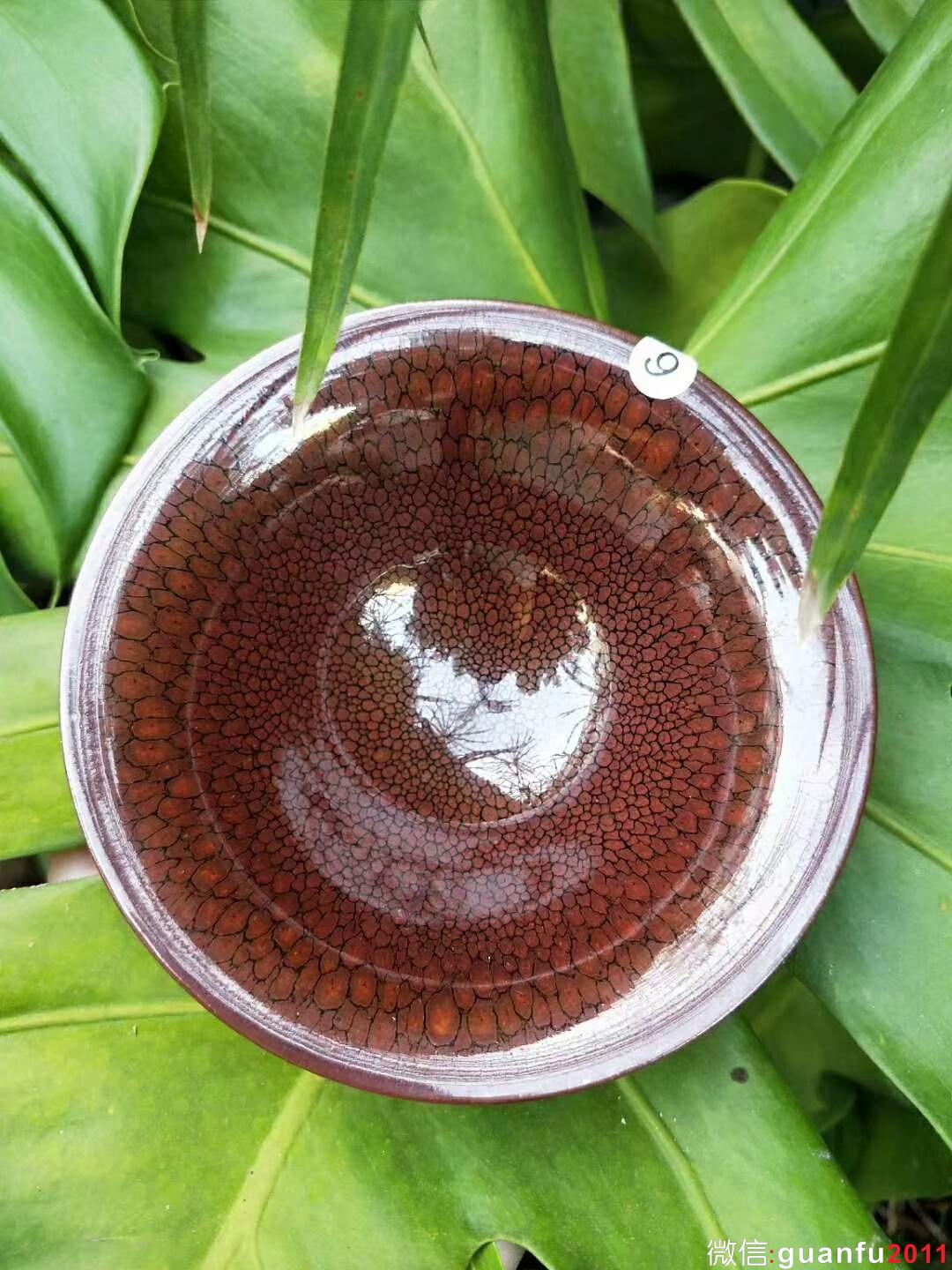 mmexport1534142385719