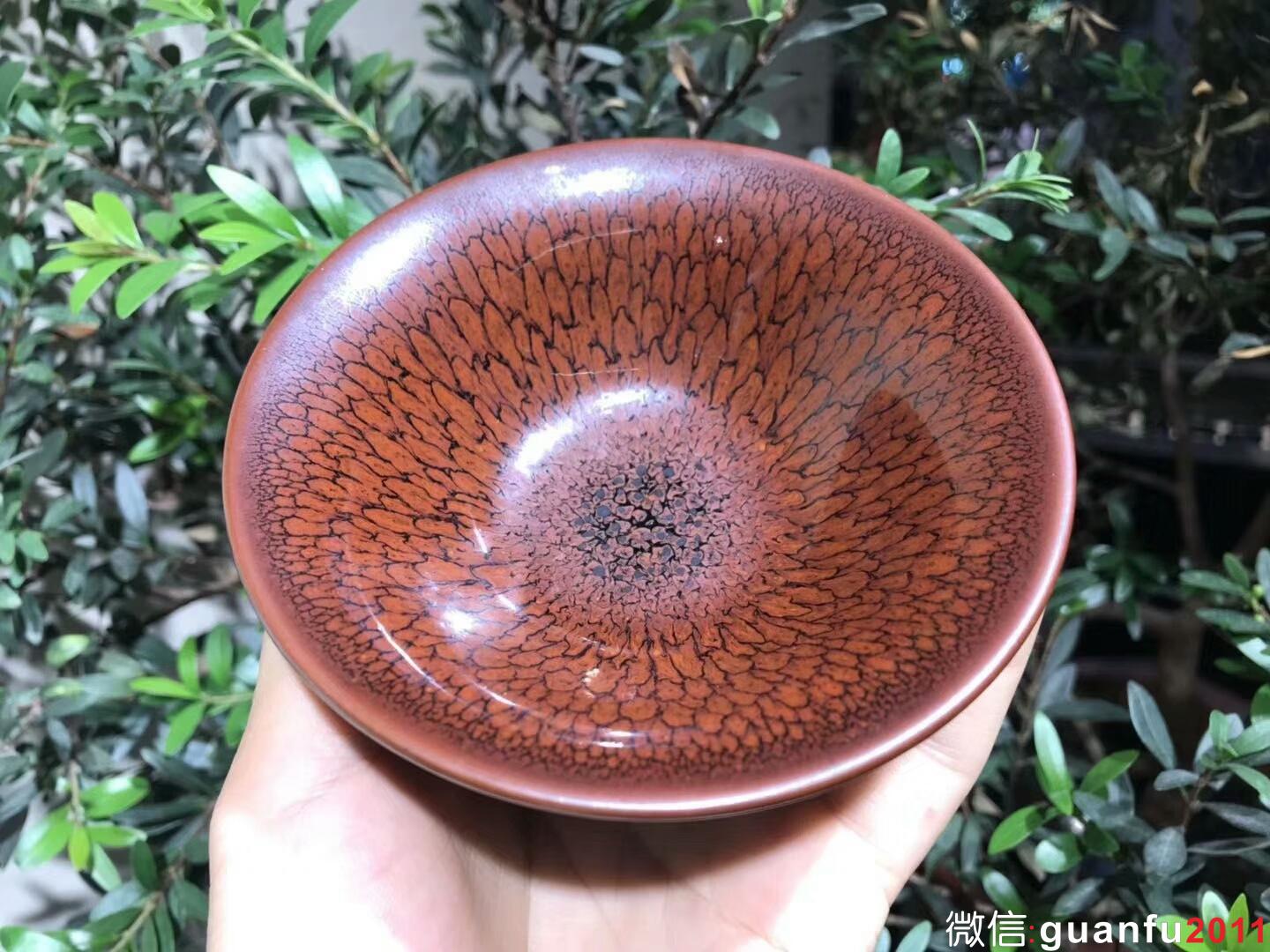 mmexport1534297531437