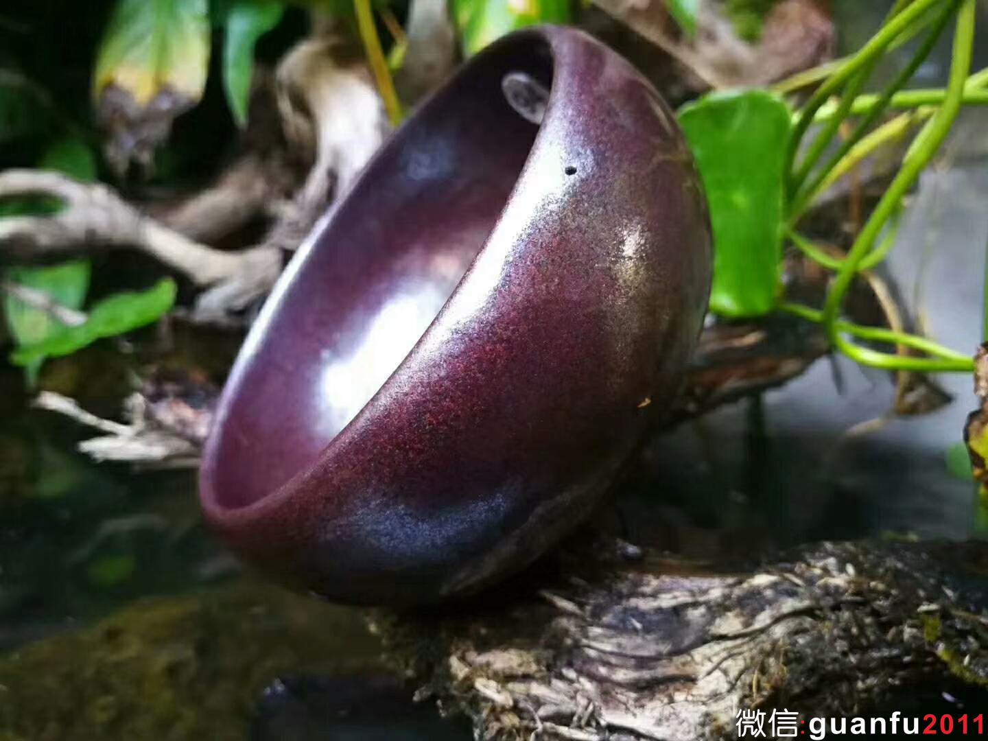 mmexport1534302307060