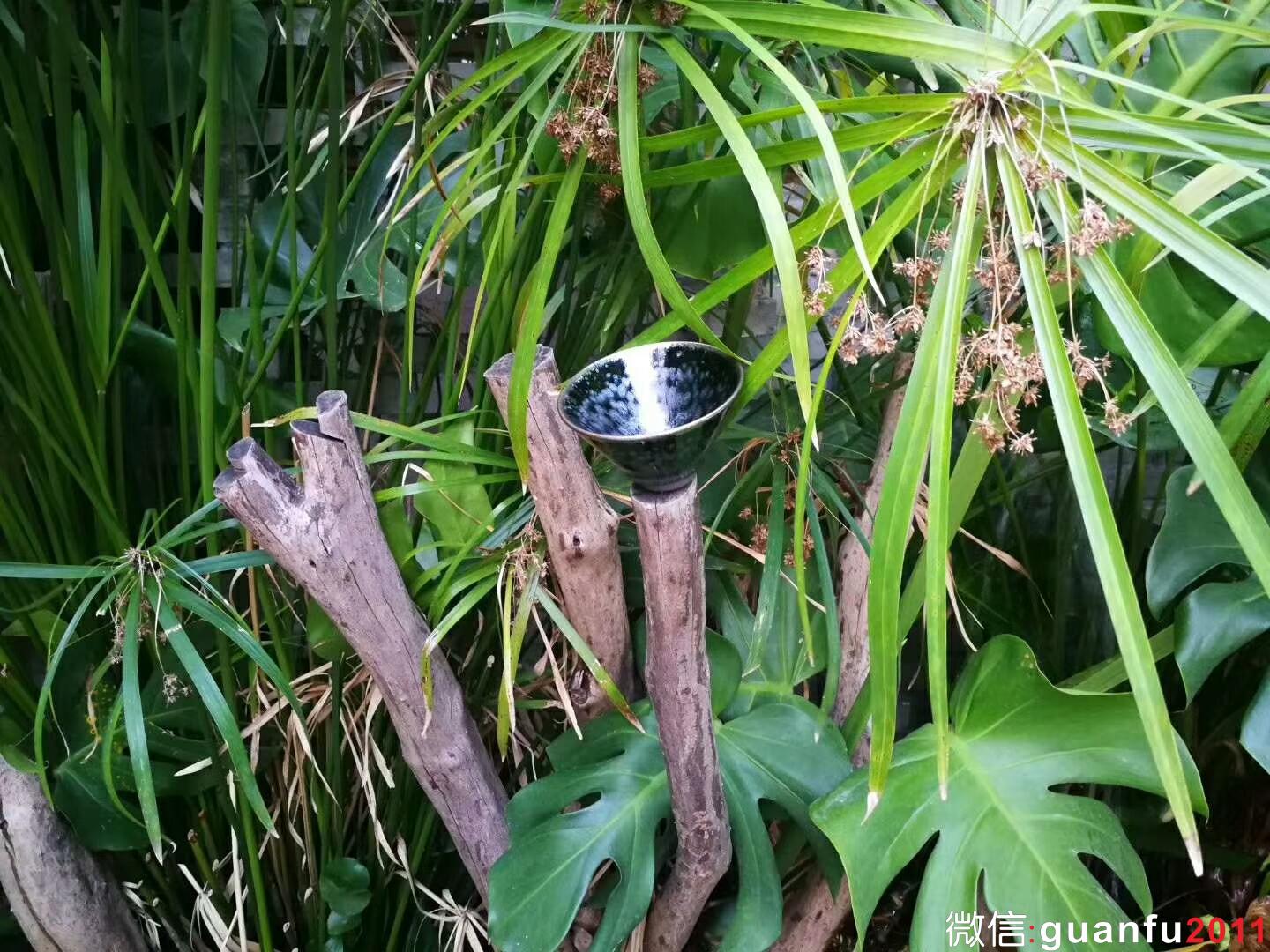 mmexport1534302368749