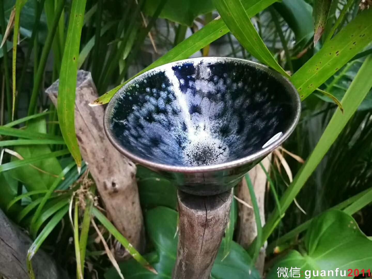 mmexport1534302370665