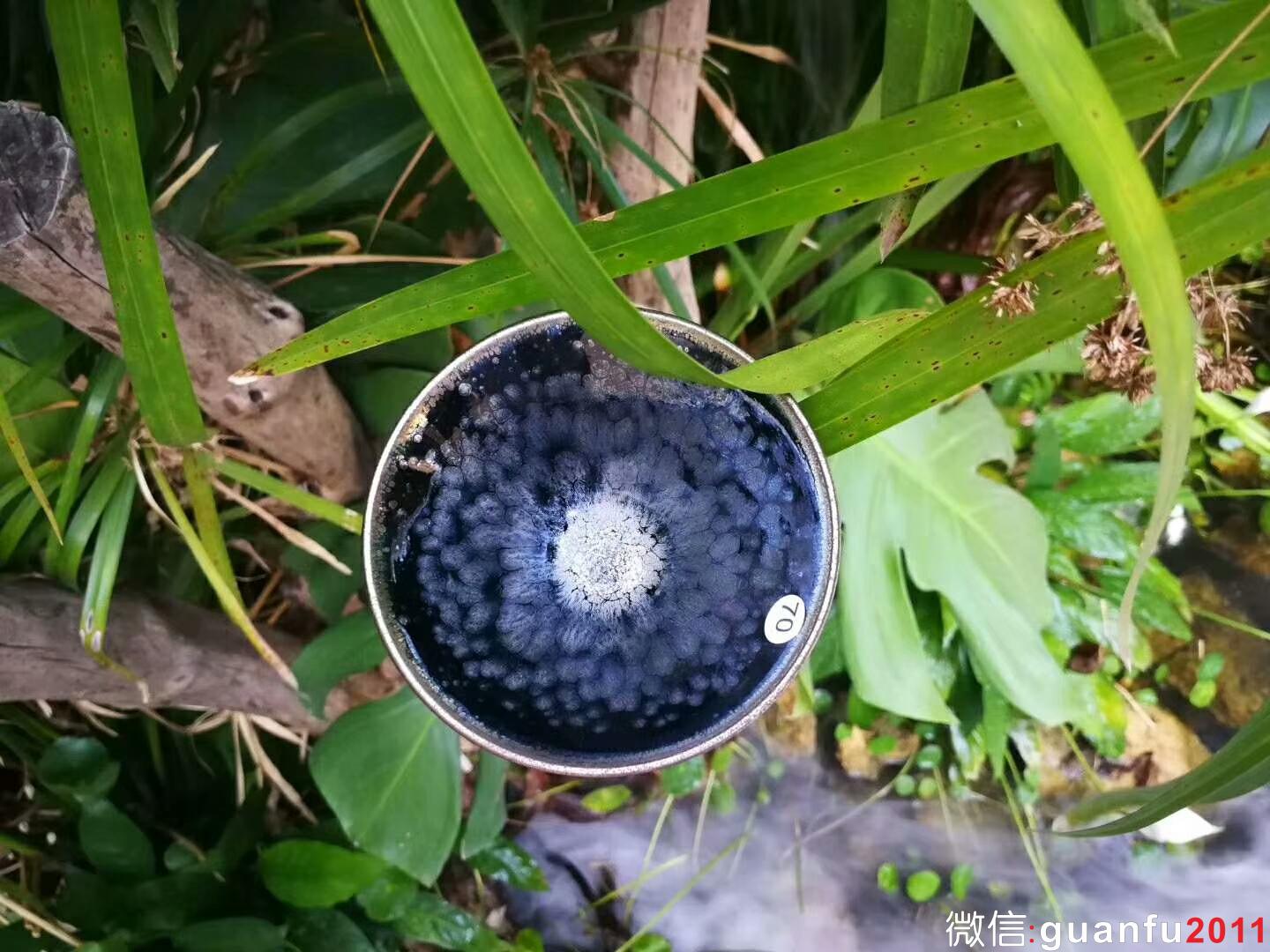 mmexport1534302376690