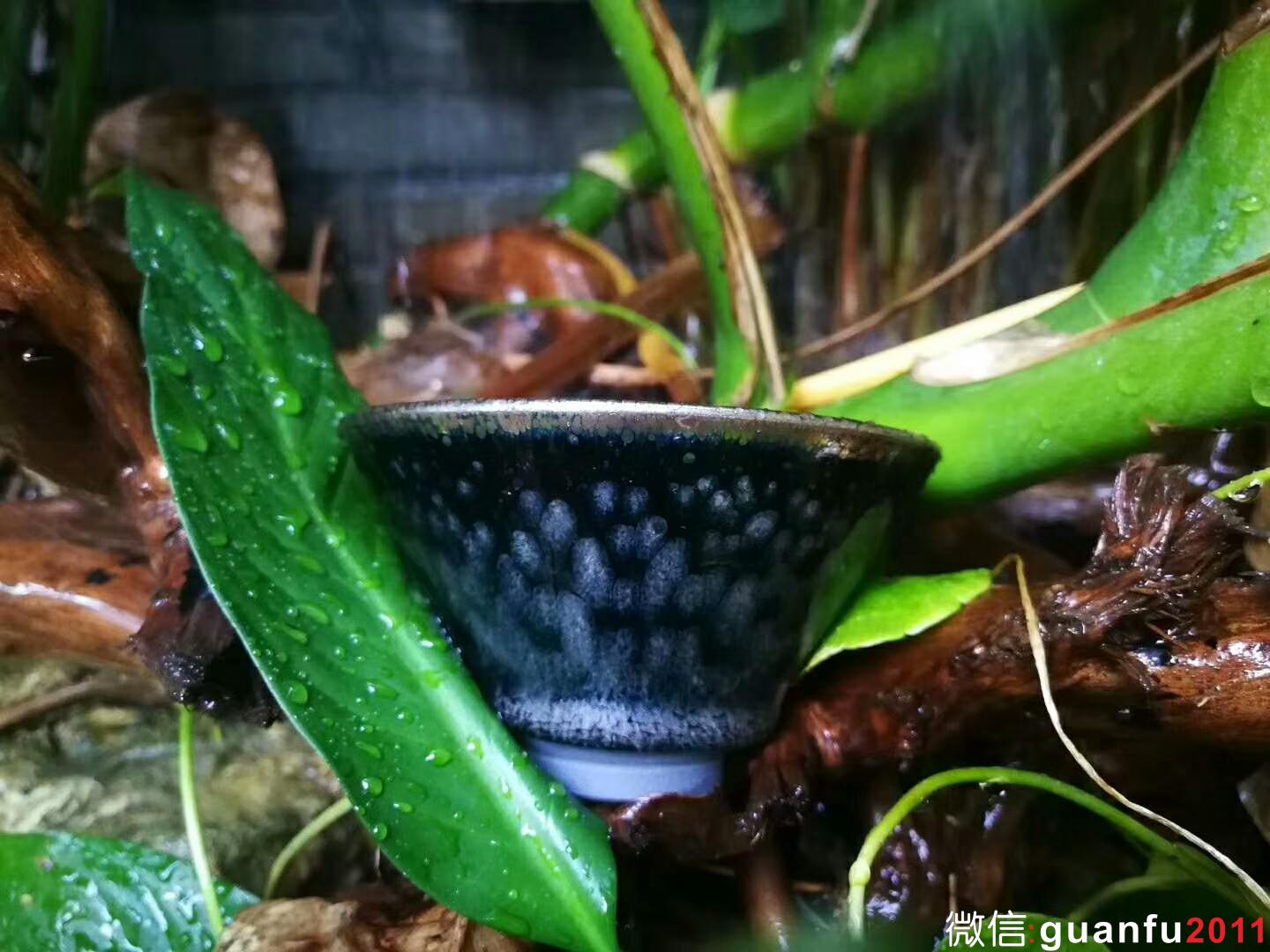 mmexport1534302396424