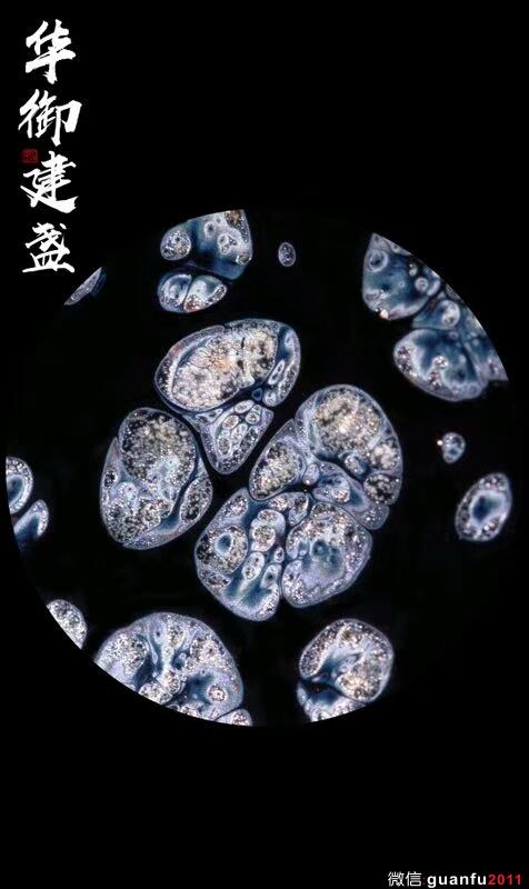 mmexport1534385223273