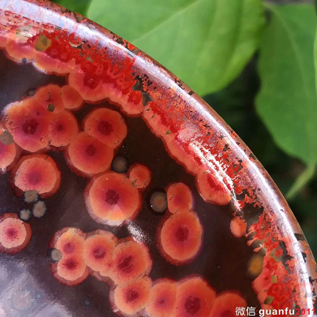 mmexport1534734601250