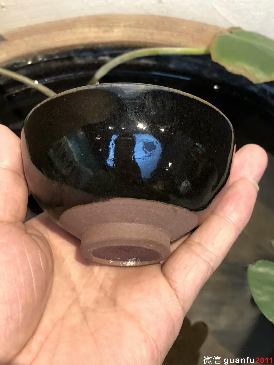 mmexport1535077230025