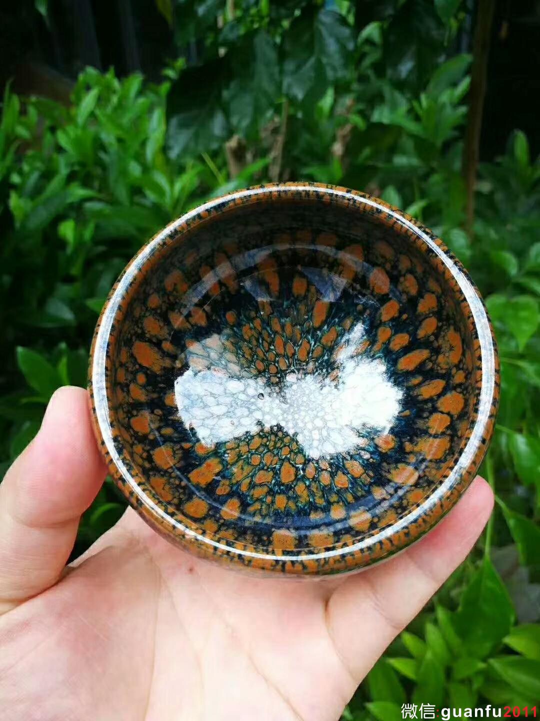 mmexport1535359904994