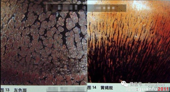 建盞燒制技術(shù)難在哪里聽聽國家級大師李達怎么說