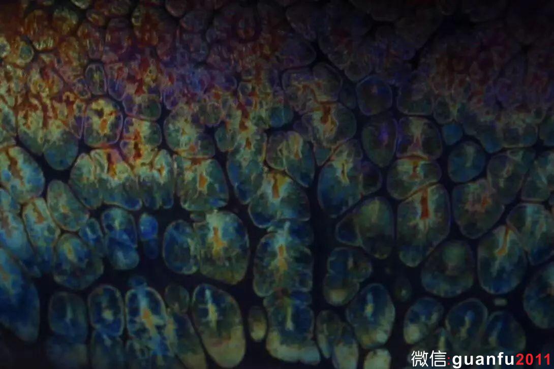 建盞養(yǎng)壞養(yǎng)暗了該怎么辦？