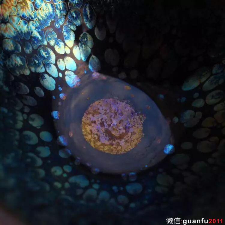 建盞養(yǎng)壞養(yǎng)暗了該怎么辦？