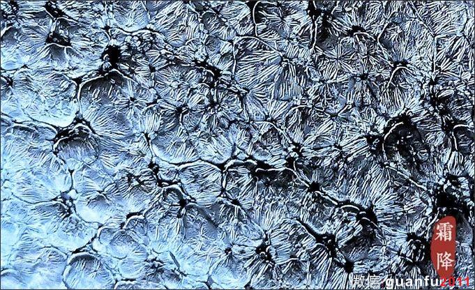 千江月.張中欽建盞新品：霜 降