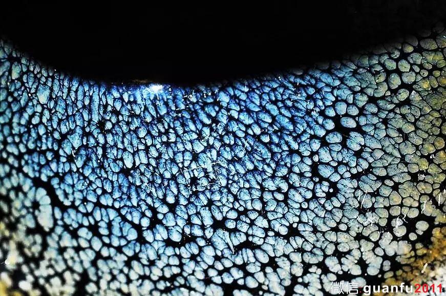 宋代建盞丨兔毫油滴曜變 為什么日本能夠保存大量建盞完整品