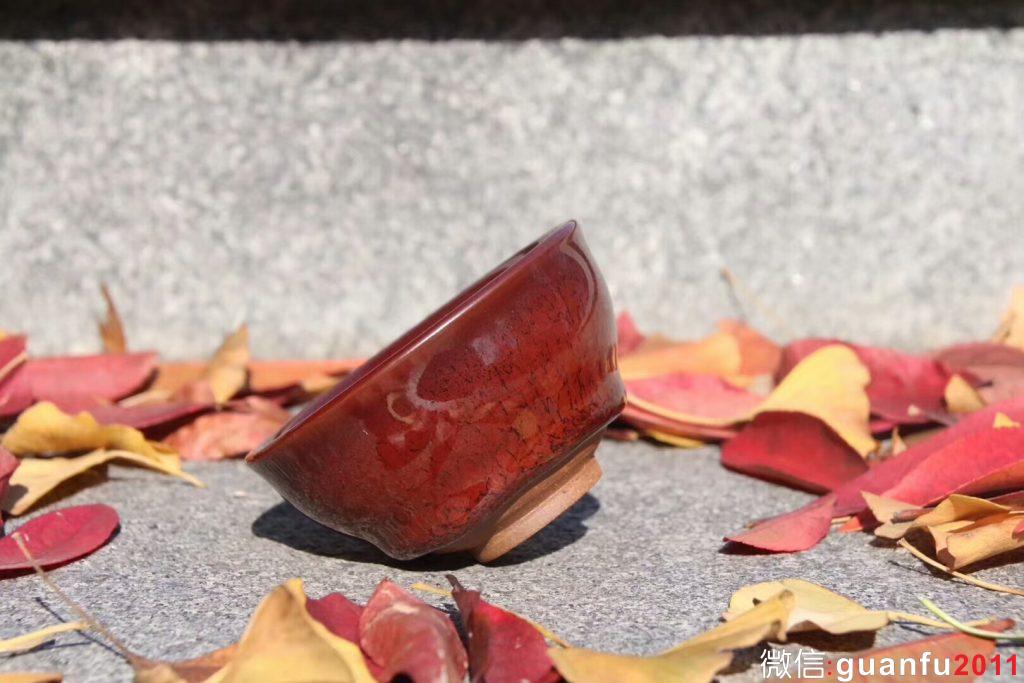 mmexport1541840054755