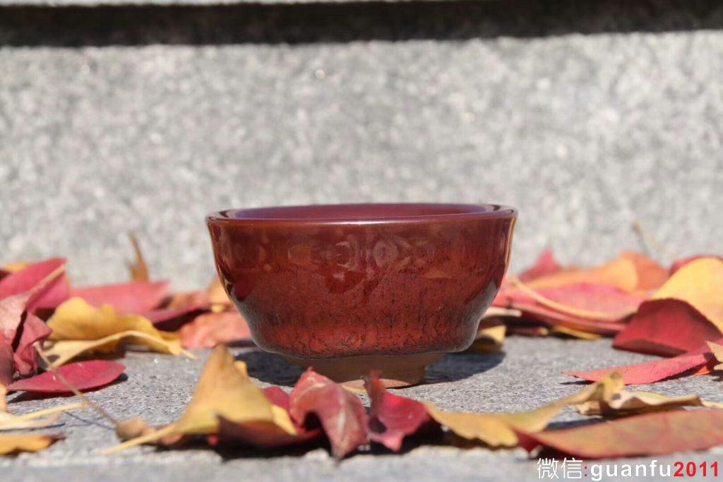 mmexport1541840057216