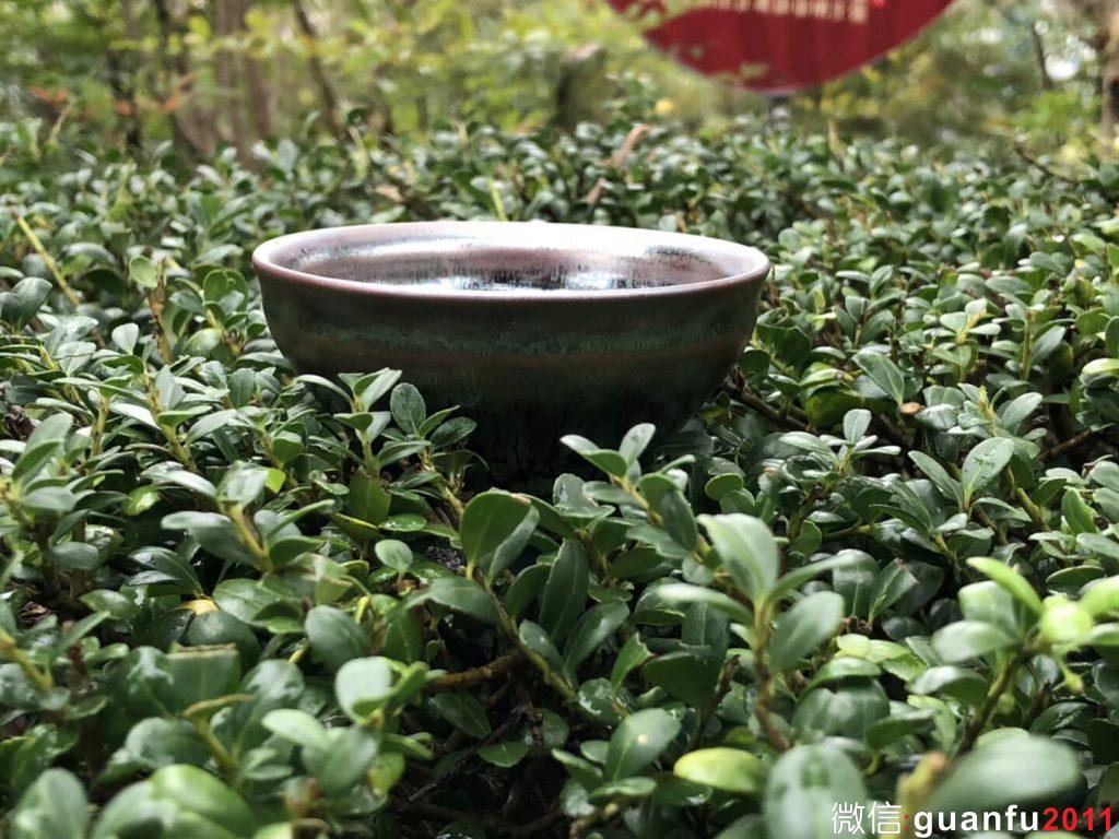 李盞 李遠興老師 紫霞油滴系列