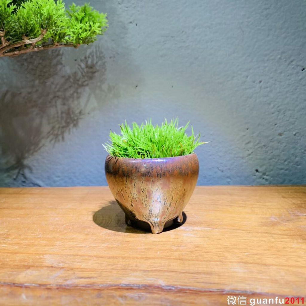 mmexport1542938957334