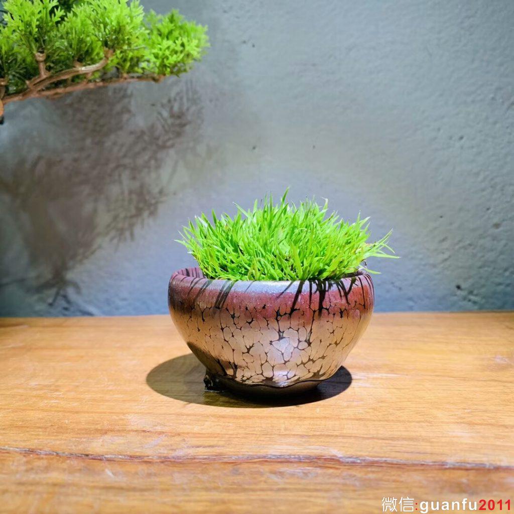 mmexport1542938961016