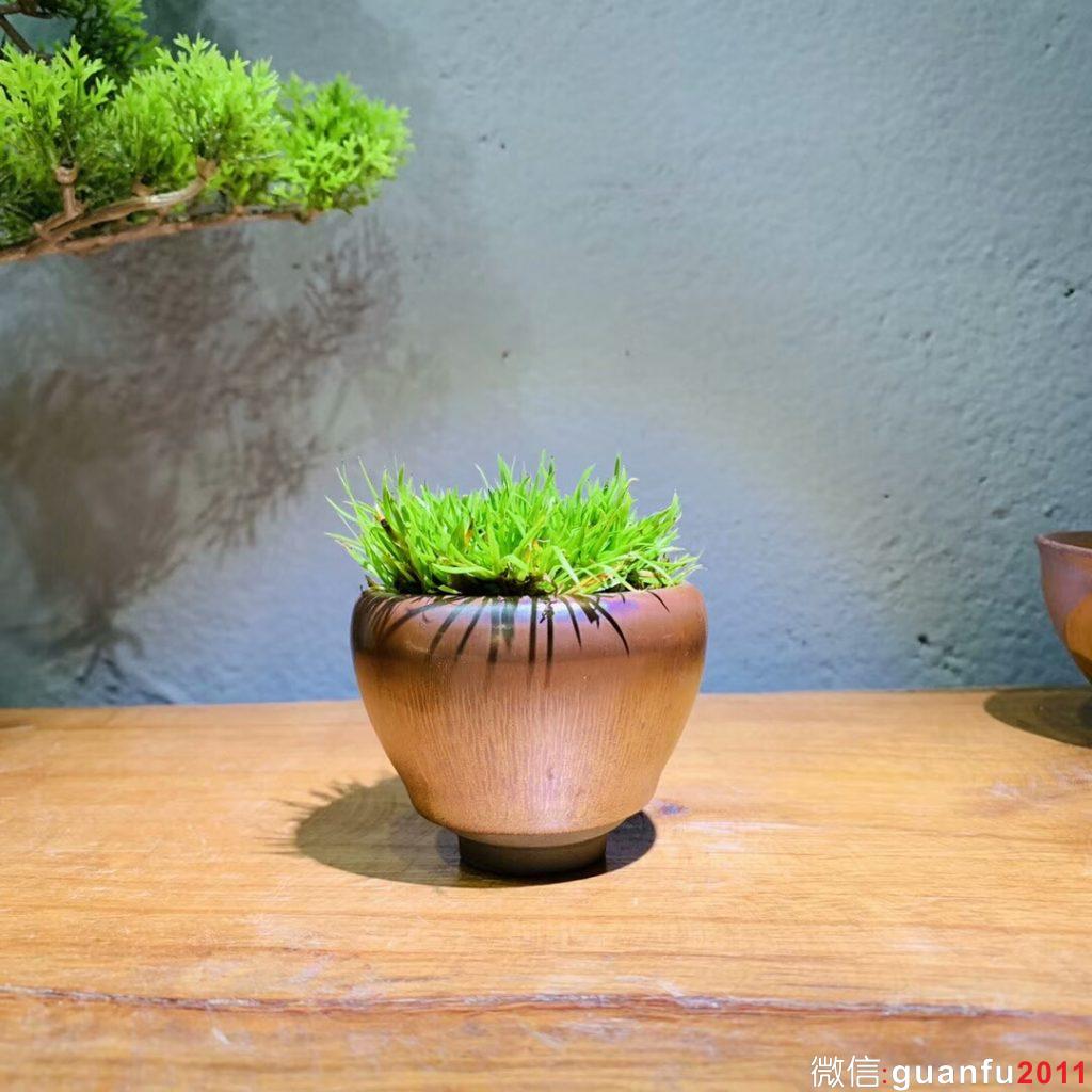 mmexport1542938968169