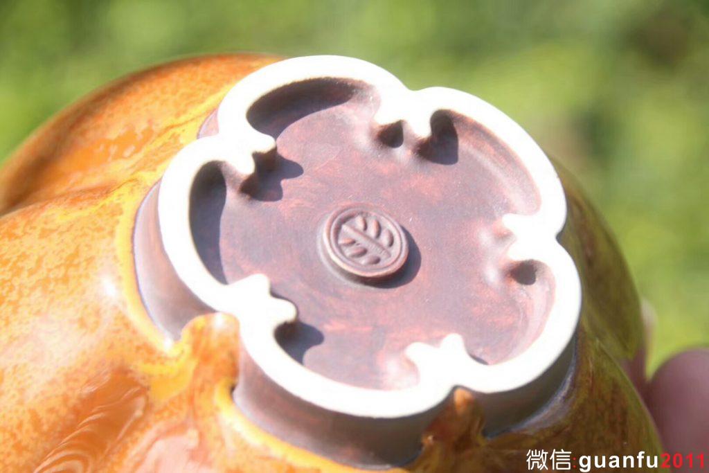 mmexport1543220877998