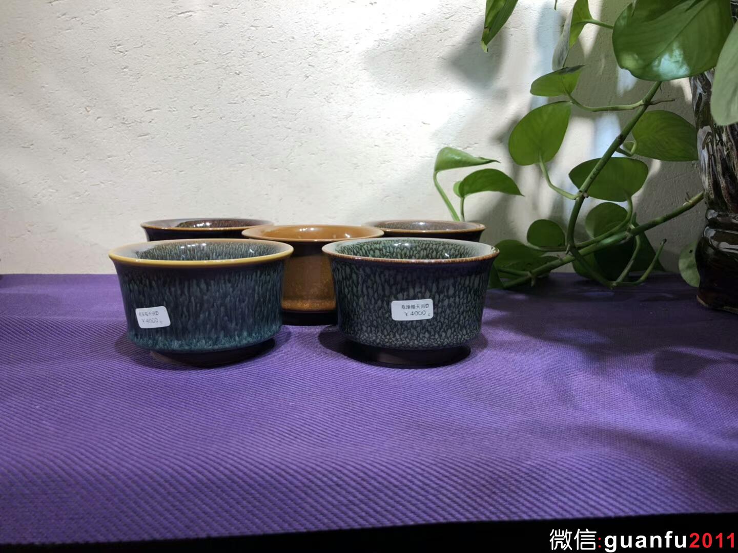 mmexport1543889283076