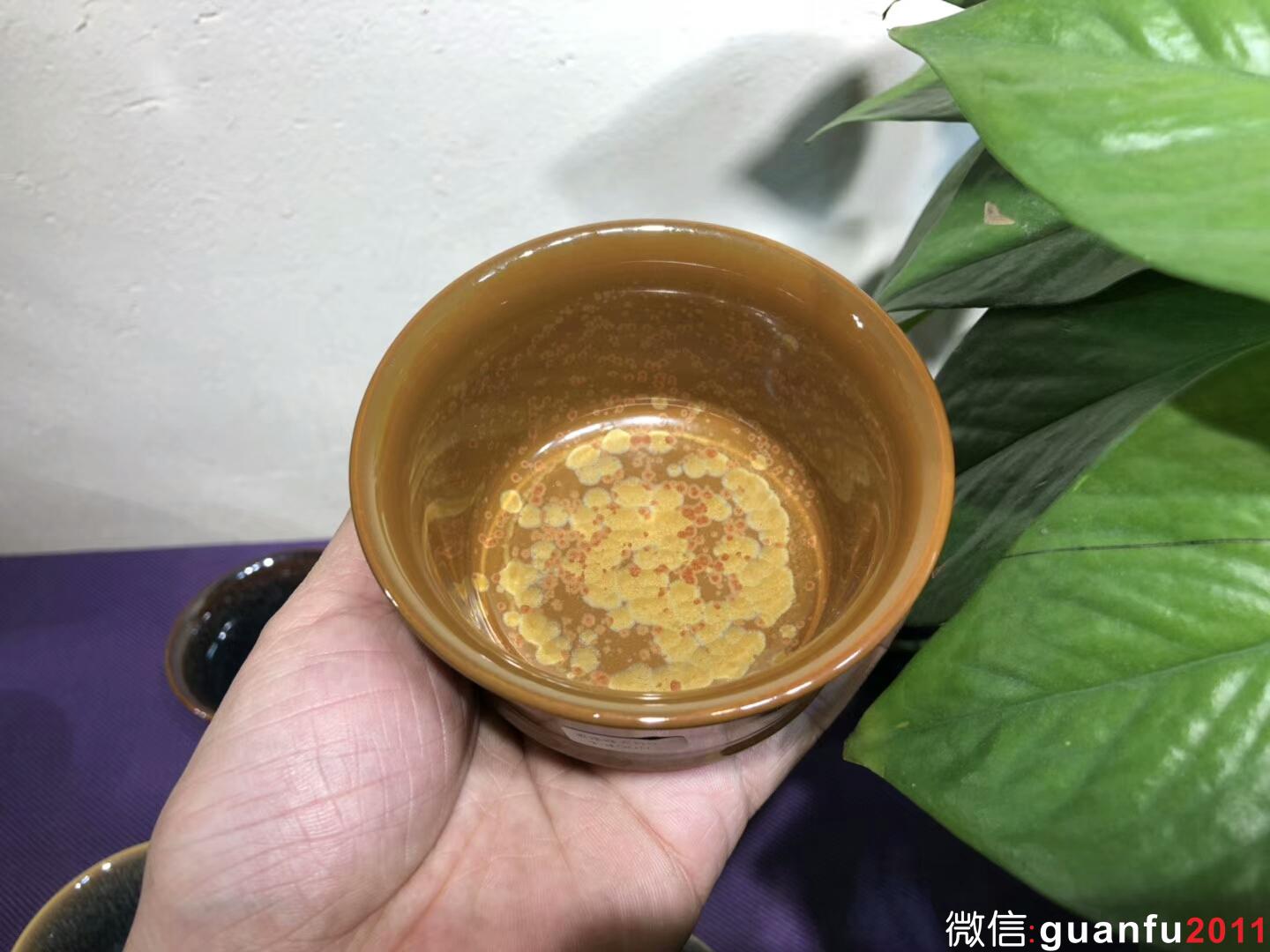 mmexport1543889291187