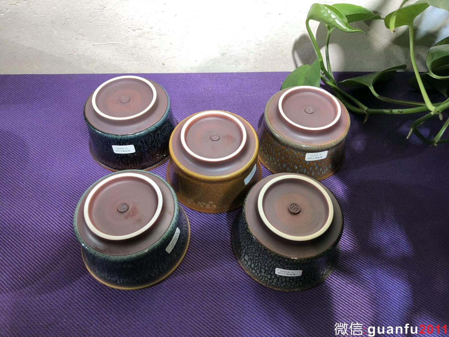 mmexport1543889297185