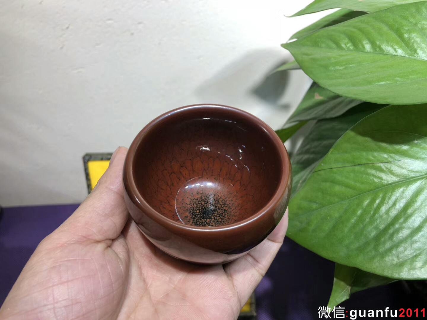 mmexport1543889373307