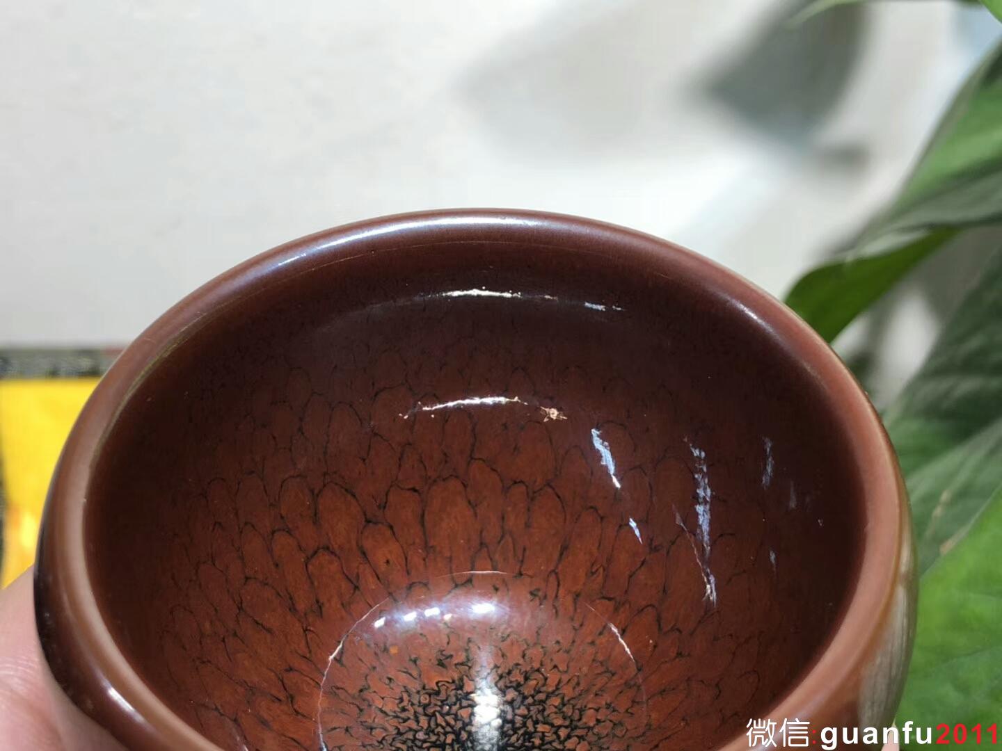 mmexport1543889375573