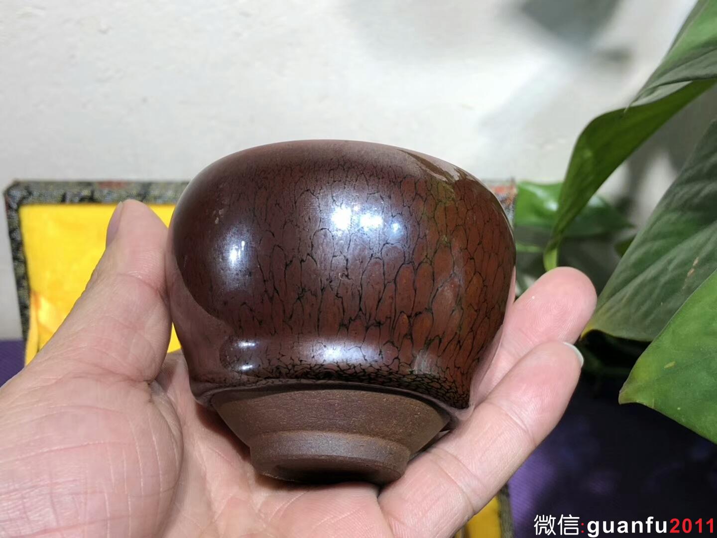 mmexport1543889377703