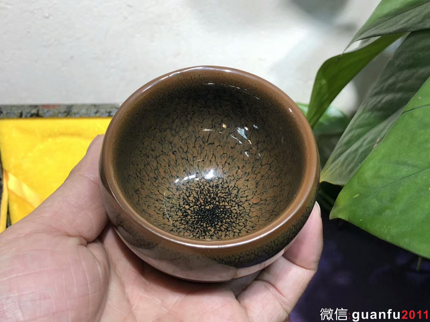 mmexport1543889382051