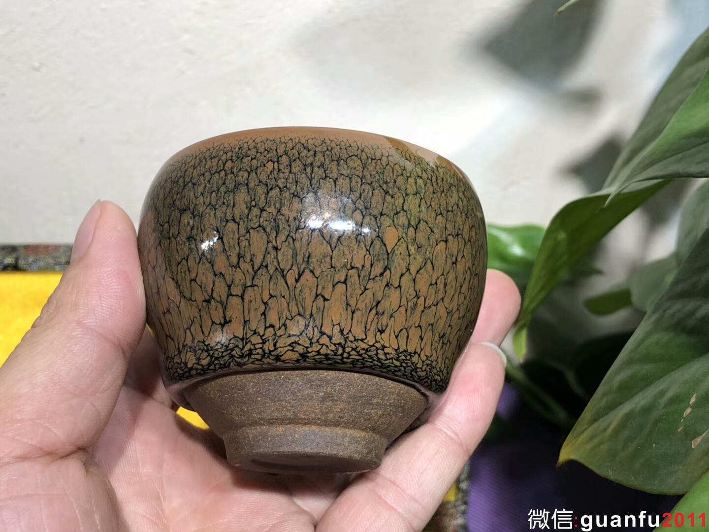 mmexport1543889384162