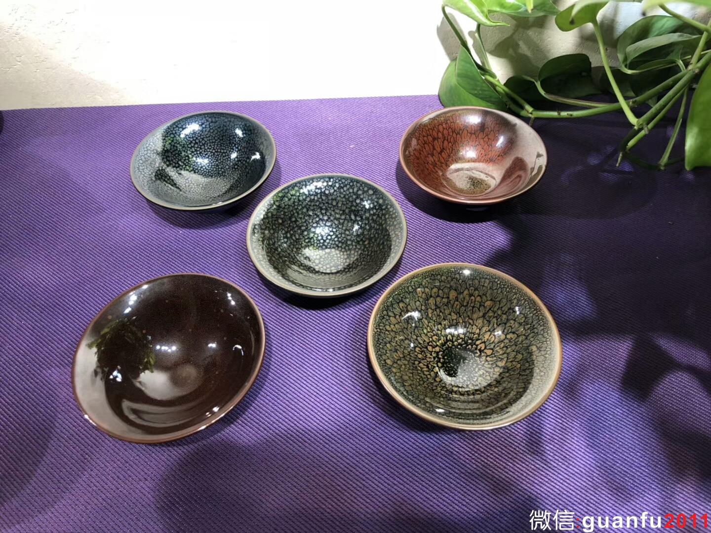 mmexport1543889516985