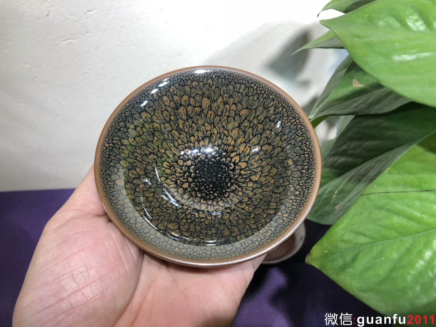 mmexport1543889519334