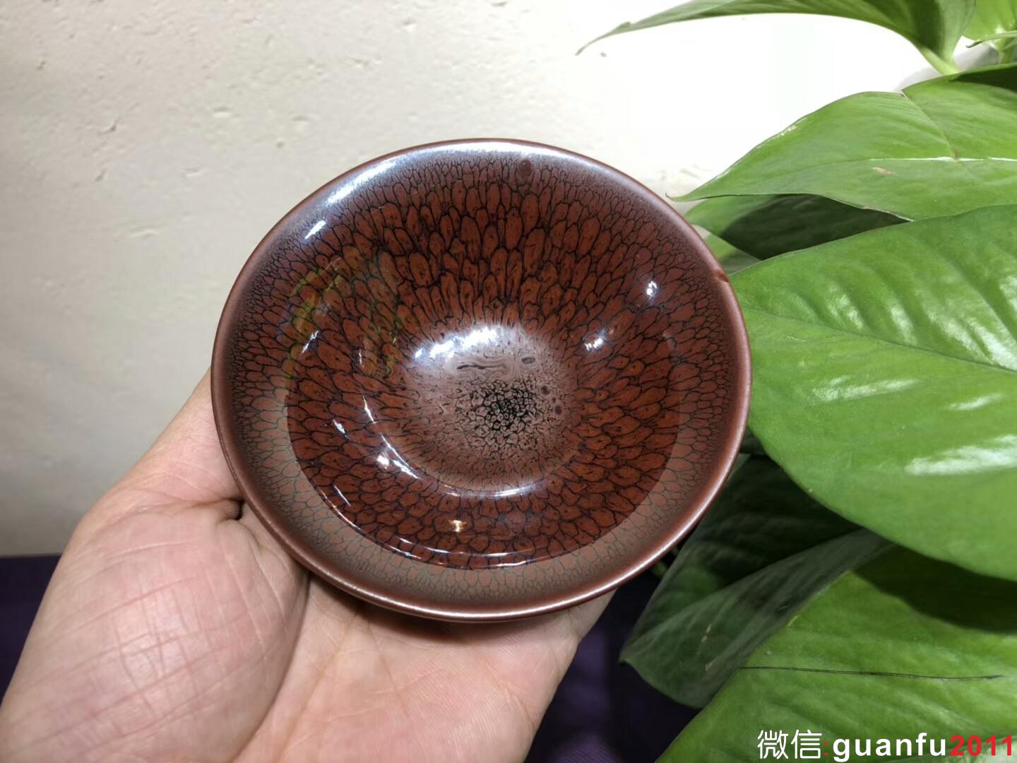 mmexport1543889521601