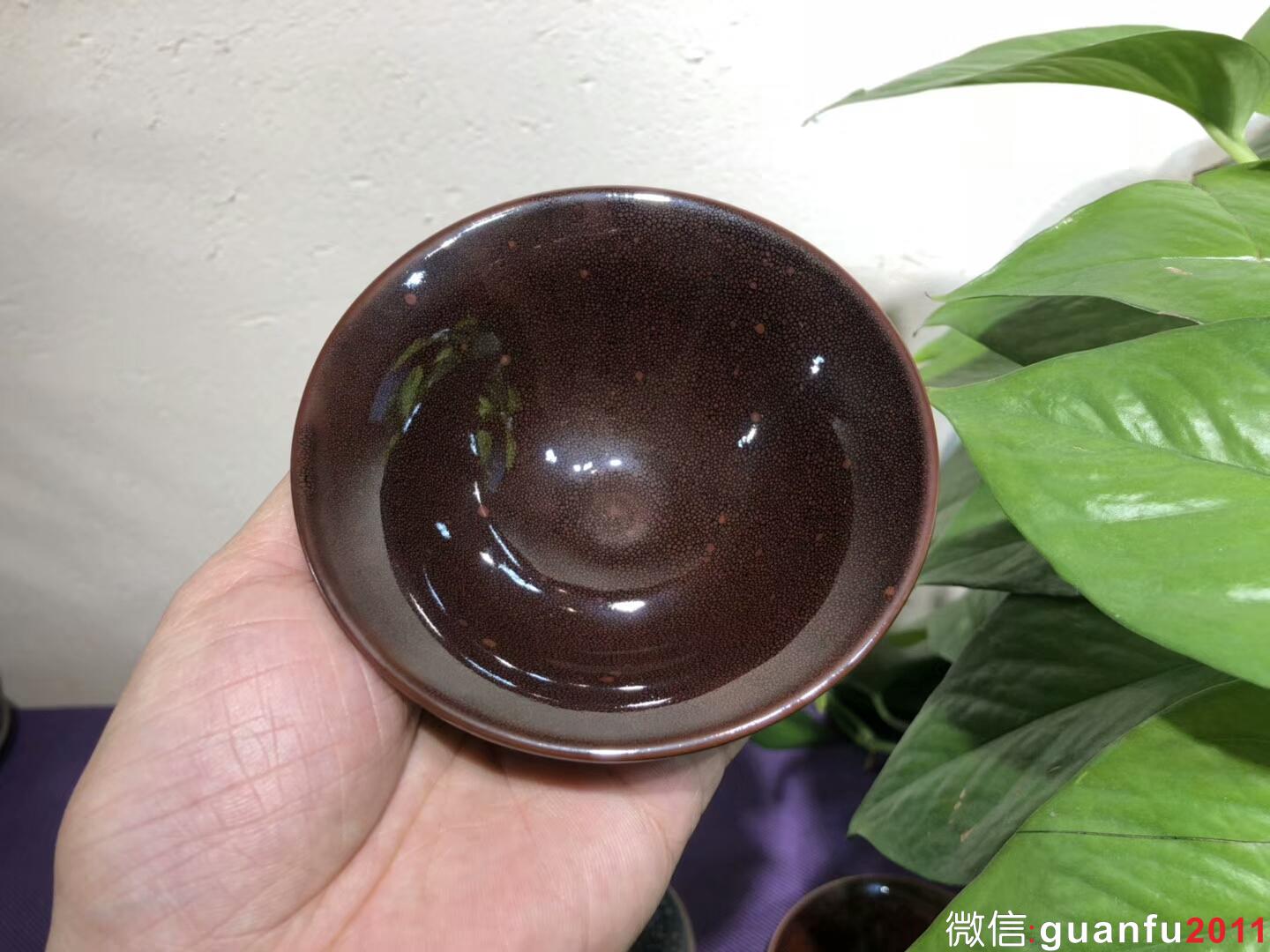 mmexport1543889526132