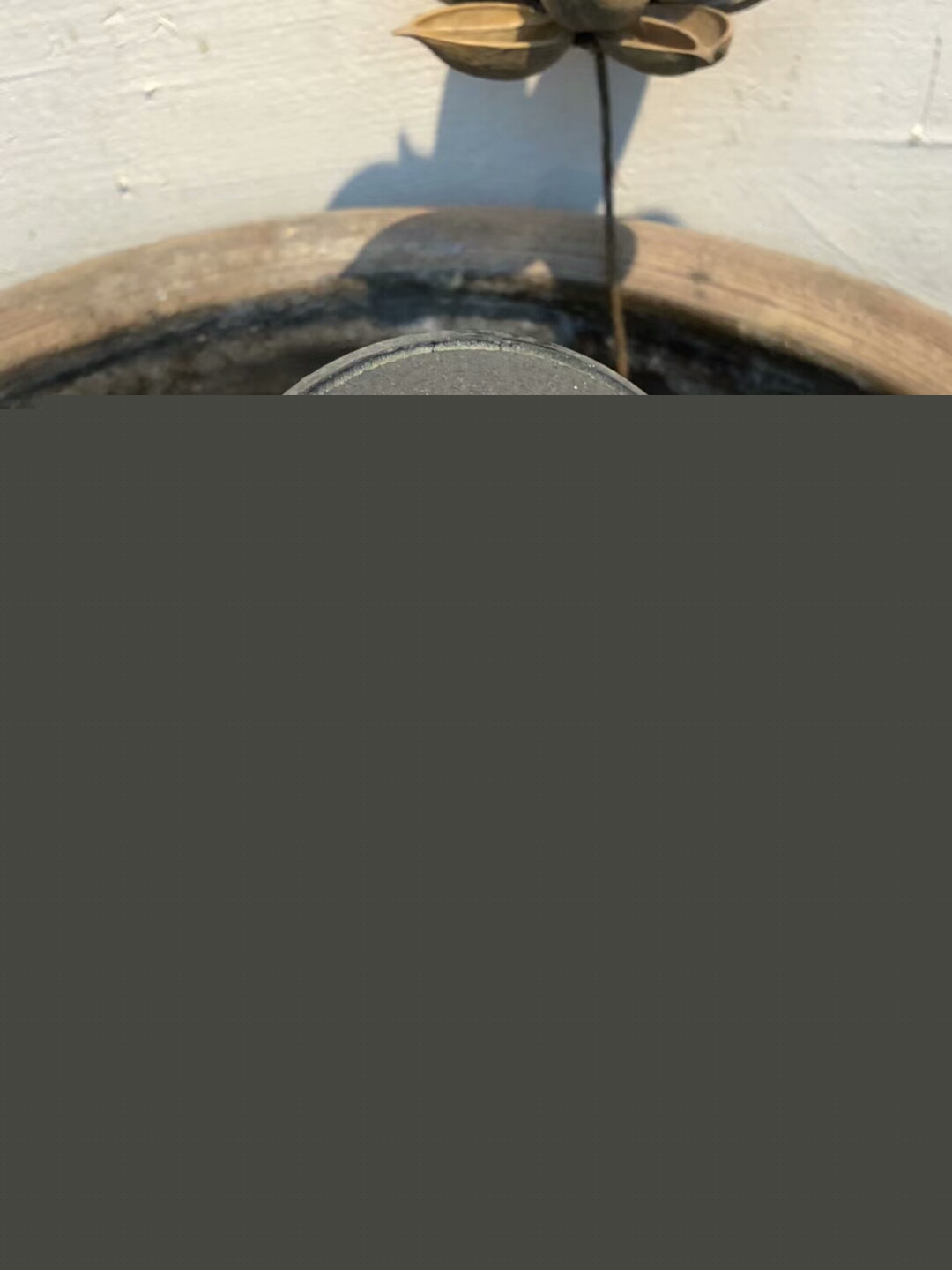 mmexport1544250361891