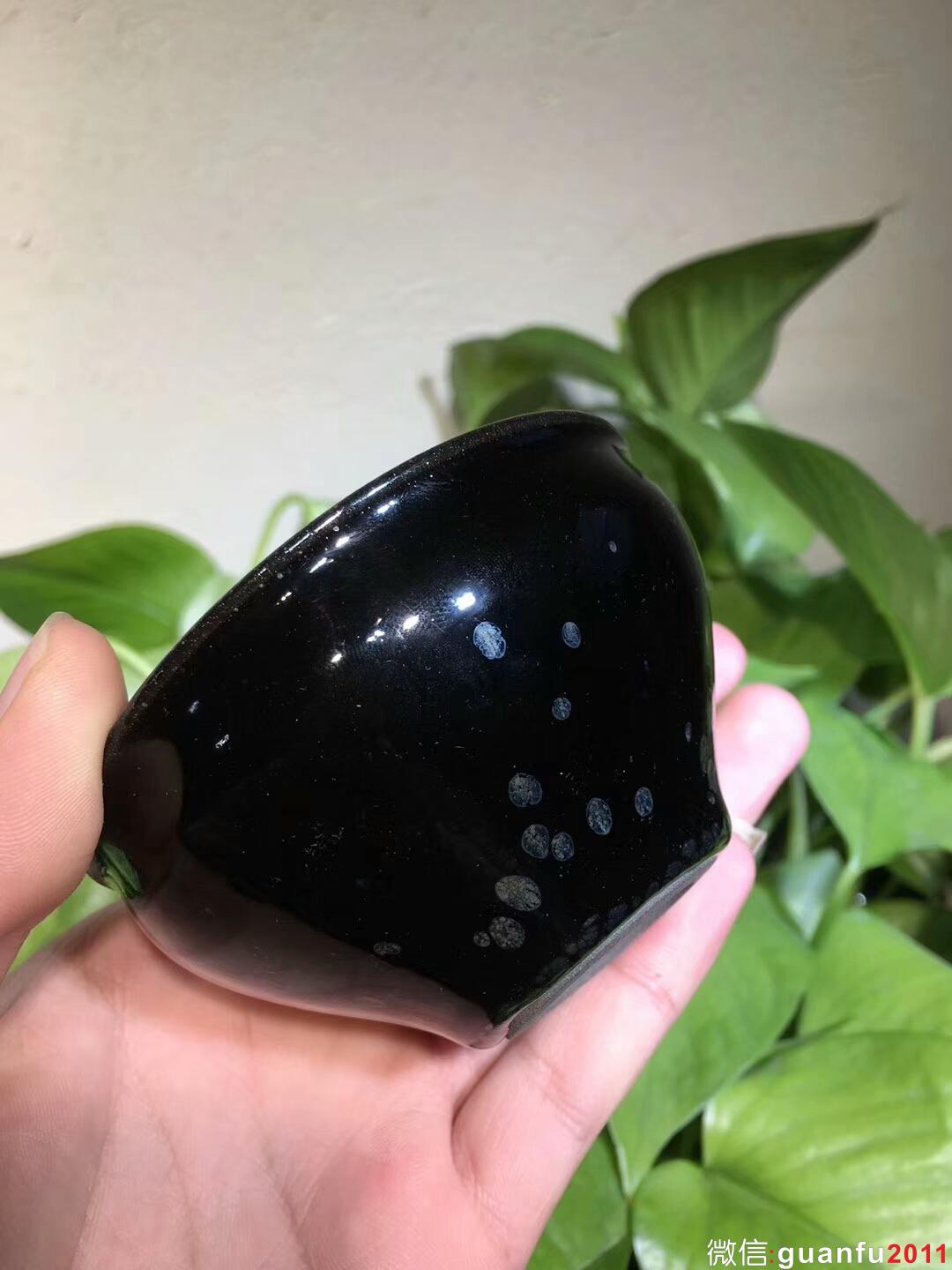 mmexport1544771556675