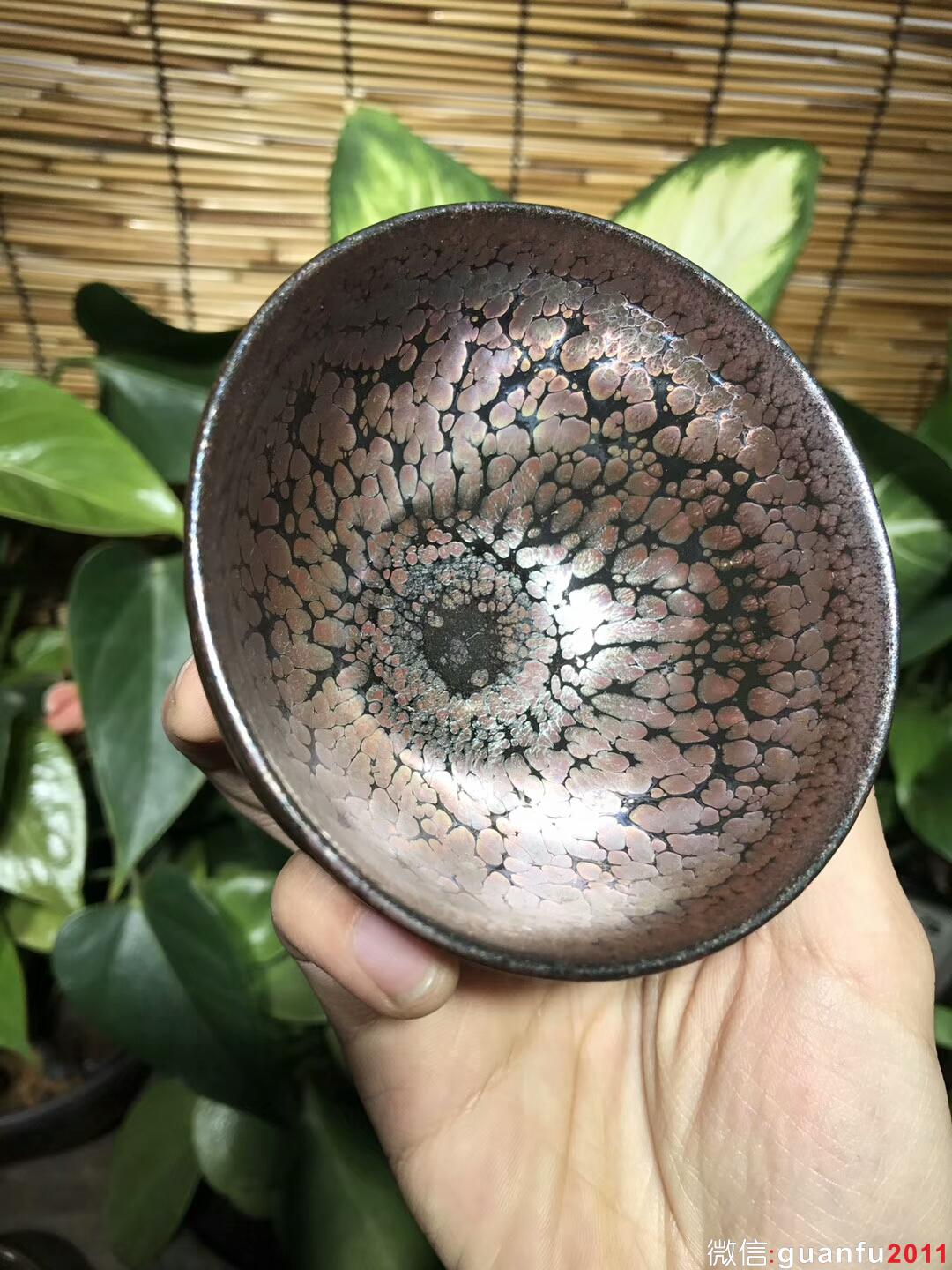 mmexport1545382295245